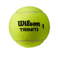 Wilson Triniti All Court Tennis Ball 3-Ball Can 2-Pack
