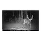 Browning Trail Cameras Strike Force HD Max